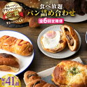 【ふるさと納税】【全6回定期便】壱岐島満喫食べ放題 パック 41個 セット カレー パン ハード ステーキ 朝食 高級 詰め合わせ 《壱岐市》【パンプラス】[J...
