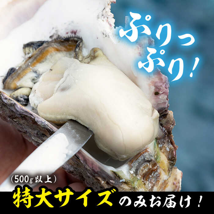 【ふるさと納税】【26年5月以降発送】【予約受付中】黄金岩牡蠣 5kg《壱岐市》【立石鮮魚】 [JEV001] ナイフ付き 軍手付き 牡蠣 カキ 岩ガキ 岩がき 海鮮 貝 魚貝 BBQ 38000 38000円 冷蔵配送