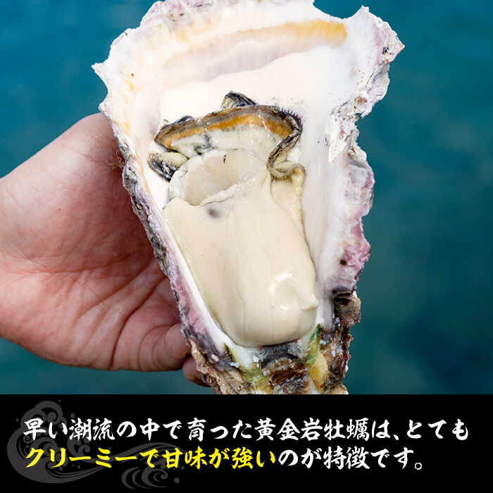 �ڤդ뤵��Ǽ�ǡۡ�26ǯ5��ʹ�ȯ���ۡ�ͽ�������۰����� ����䲴�� 10kg �԰����ԡա�Ω�������� ���� ���� �䥬�� �䤬�� ���� �� ���� BBQ [JEV003] �Τ� �ץ쥼��� ���ե� ��¢���� 70000 70000�� 7����