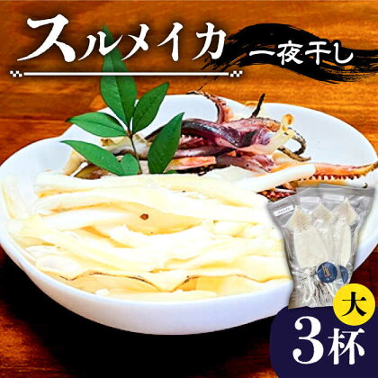 スルメイカ 一夜干し （大）3杯 《壱岐市》【株式会社マルショウ】 いか イカ スルメ おつまみ [JEW010] 12000 12000円 のし プレゼント ギフト 冷凍配送