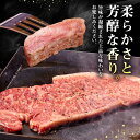 【ふるさと納税】【全3回定期便】 壱岐牛 サーロインステーキ 400g（200g×2枚）《壱岐市》【株式会社イチヤマ】[JFE017] 冷凍配送 黒毛和牛 A5ランク 定期便 赤身 肉 牛肉 サーロイン ステーキ 焼肉 焼き肉 BBQ 72000 72000円 焼肉用 2