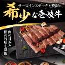 【ふるさと納税】【全3回定期便】 壱岐牛 サーロインステーキ 400g（200g×2枚）《壱岐市》【株式会社イチヤマ】[JFE017] 冷凍配送 黒毛和牛 A5ランク 定期便 赤身 肉 牛肉 サーロイン ステーキ 焼肉 焼き肉 BBQ 72000 72000円 焼肉用 3