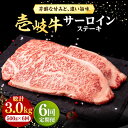 【ふるさと納税】【全6回定期便】 壱岐牛 サーロインステーキ 500g（250g×2枚）《壱岐市》【株式会社イチヤマ】[JFE030] 冷凍配送 黒毛和牛 A5ランク 定期便 赤身 肉 牛肉 サーロイン ステーキ 焼肉 焼き肉 BBQ 174000 174000円 焼肉用