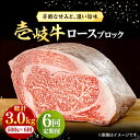 【ふるさと納税】【全6回定期便】 壱岐牛 ロースブロック 500g《壱岐市》【株式会社イチヤマ】[JFE037] 冷凍配送 黒毛和牛 A5ランク 定期便 赤身 肉 牛肉 ロース ブロック ステーキ 焼肉 焼き肉 ブロック肉 塊肉 BBQ 174000 174000円 焼肉用