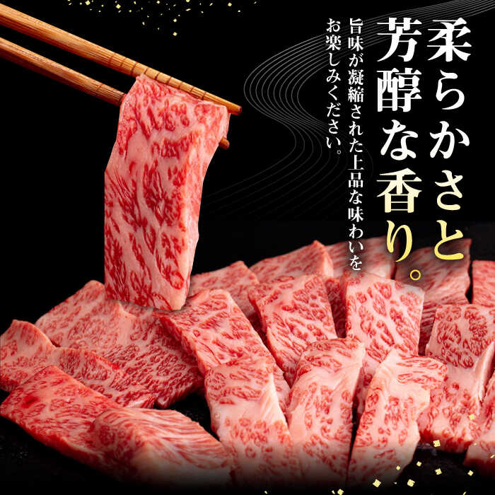 長崎県壱岐市の画像2