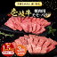 ڤդ뤵Ǽǡۡ3ء   ⡦Х 500g԰ԡաڳҥޡ[JFE066]     Ƥ  Х  BBQ ֿ  57000 57000