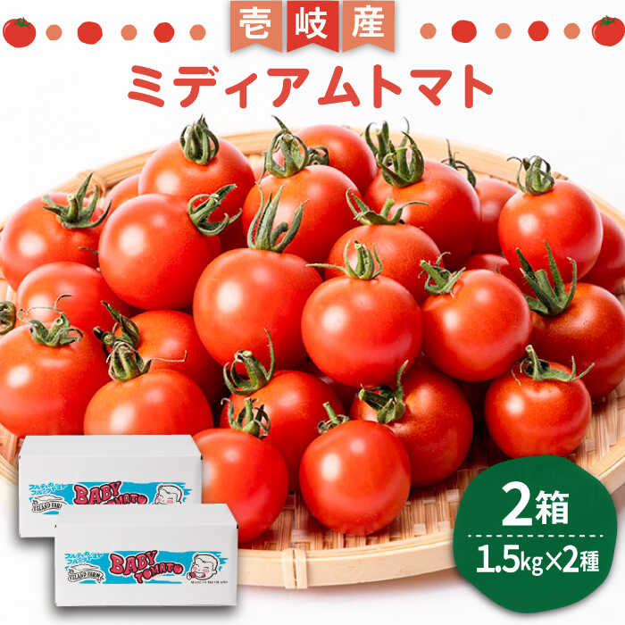 【ふるさと納税】ミディアムトマト バラ 2箱（1.5kg×2種）《壱岐市》【ISLAND FARM】 トマト 生鮮 野菜 夏 19000 19000円 [JFL002] 冷蔵配送