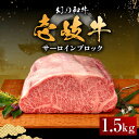 【ふるさと納税】壱岐牛 サーロイン ブロック 1.5kg 《壱岐市》【中津留】[JFS003] 冷凍配送 黒毛和牛 A5ランク サーロイン ステーキ 焼肉 BBQ 牛肉 肉 サーロインステーキ 赤身 焼き肉 ブロック肉 ブロック イベント 97000 97000円 焼肉用