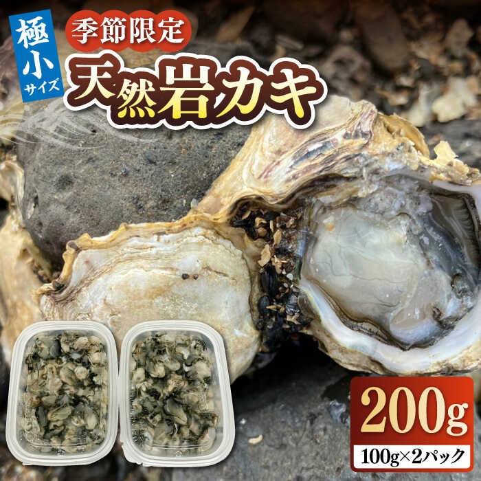 【ふるさと納税】【季節限定】 天然 岩カキ 100g×2パック（生食用）《壱岐市》【鈴の海庭】 牡蠣 カキ ..