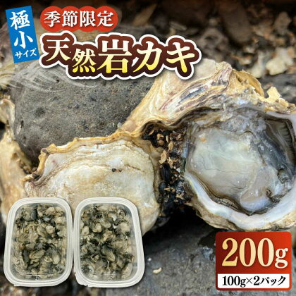 【季節限定】 天然 岩カキ 100g×2パック（生食用）《壱岐市》【鈴の海庭】 牡蠣 カキ 岩牡蠣 貝 魚貝 海産物 おつまみ カキフライ 鍋 カキ鍋 牡蠣鍋 カキ飯 [JFV002] 冷蔵配送