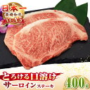 【ふるさと納税】【お中元対象】【A4〜A5ランク】長崎和牛 サーロインステーキ 400g(200g×2枚)《壱岐市》【野中精肉店】 黒毛和牛 牛肉 和牛 赤身 ...