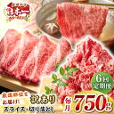 【ふるさと納税】【全6回定期便】【訳あり】【A4〜A5ランク】 長崎和牛 しゃぶしゃぶ・すき焼きセット 750g《壱岐市》【株式会社MEAT PLUS】 肉 牛...