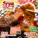 【ふるさと納税】【全6回定期便】【A4〜A5ランク】長崎和牛焼肉用 500g《壱岐市》【株式会社MEAT PLUS】肉 牛肉 黒毛和牛 焼き肉 焼肉 焼肉用 ギ...