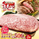 【ふるさと納税】【全2回定期便】【A4〜A5ランク】長崎和牛 サーロインステーキ 500g(250g×2枚)《壱岐市》【株式会社MEAT PLUS】 肉 牛肉 ...