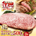【ふるさと納税】【全12回定期便】【A4〜A5ランク】長崎和牛 サーロインステーキ 500g(250g×2枚)《壱岐市》【株式会社MEAT PLUS】 肉 牛肉...