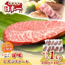 【ふるさと納税】【全3回定期便】【厳選希少部位】長崎和牛 ミスジステーキ 約1kg(100g×10枚)《壱岐市》【株式会社MEAT PLUS】 肉 牛肉 和牛 ...