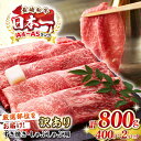 【ふるさと納税】【訳あり】【A4〜A5ランク】 長崎和牛 赤身 霜降り しゃぶしゃぶ・すき焼き用 800g(400g×2パック)(肩・モモ)《壱岐市》【株式会社...