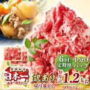 【ふるさと納税】【全6回定期便】【訳あり】【A4~A5ランク】長崎和牛 切り落とし 1.2kg(600g×2パック)《壱岐市》【株式会社MEAT PLUS】 肉...