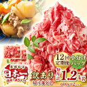 【ふるさと納税】【全12回定期便】【訳あり】【A4~A5ランク】長崎和牛 切り落とし 1.2kg(600g×2パック)《壱岐市》【株式会社MEAT PLUS】 ...