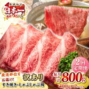 【ふるさと納税】【全2回定期便】【訳あり】【A4~A5ランク】長崎和牛 しゃぶしゃぶ・すき焼き用 800g(400g×2パック)(肩ロース肉・バラ肉・モモ肉)《...