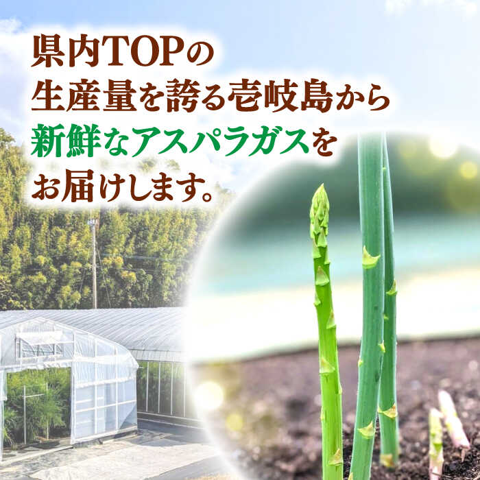 【ふるさと納税】【先行予約】【アスパラガス専門農家が作る！】壱岐産アスパラガス1kg(Lサイズ)【2026年3月以降順次発送】≪壱岐市≫【きたじま農園】国産 冷蔵配送 産地直送 朝採れ 新鮮[JGI003]