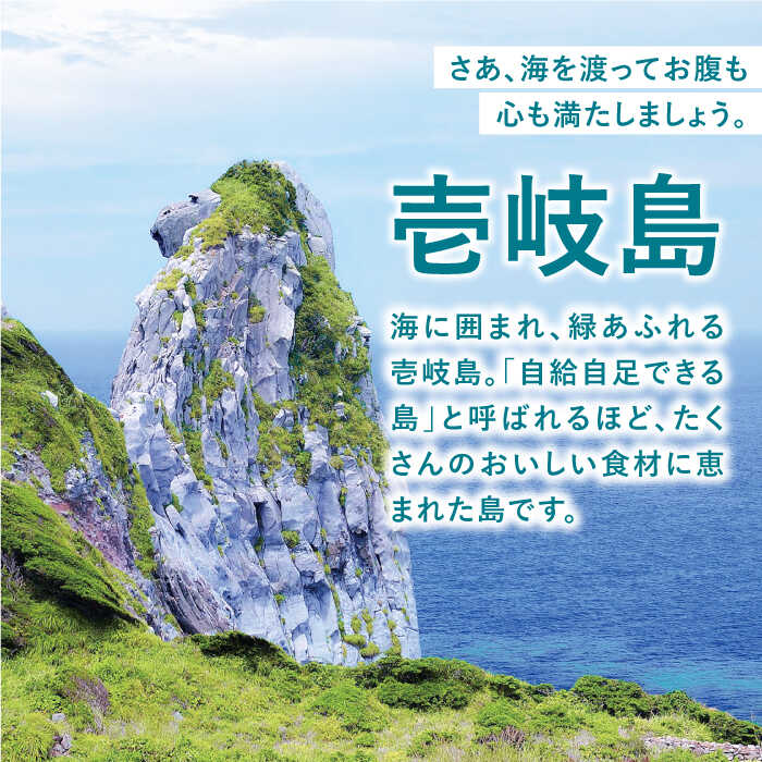 【ふるさと納税】《長崎県壱岐市》対象施設で使える楽天トラベルクーポン 寄付額20,000円《壱岐市》[JZZ001] 九州 長崎 長崎県 壱岐 壱岐市 旅行 宿泊 観光 トラベルクーポン 20000 20000円 2万円 6000 6000円 6千円その2