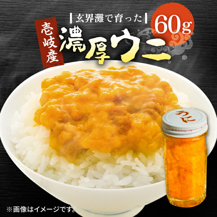 ムラサキウニ 【ふるさと納税】壱岐産 濃厚 ウニ60g《壱岐市》【合同会社塚元】ムラサキウニ 海産物 海鮮 ウニ うに 雲丹 珍味 [JDR021] 14000 14000円 のし プレゼント ギフト 冷凍配送