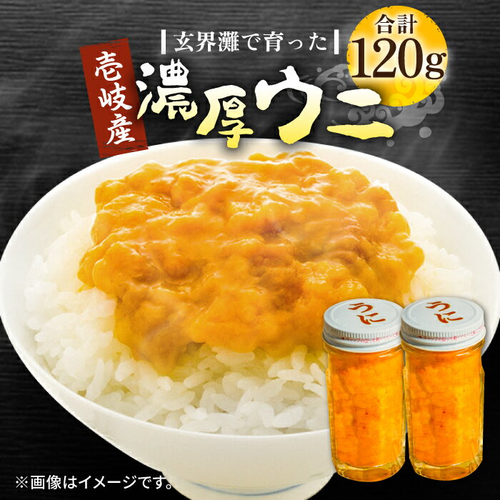 壱岐産 濃厚 ウニ 60g ×2本[壱岐市][合同会社塚元]ムラサキウニ 海産物 海鮮 うに 雲丹 珍味 [JDR022] 27000 27000円 のし プレゼント ギフト 冷凍配送