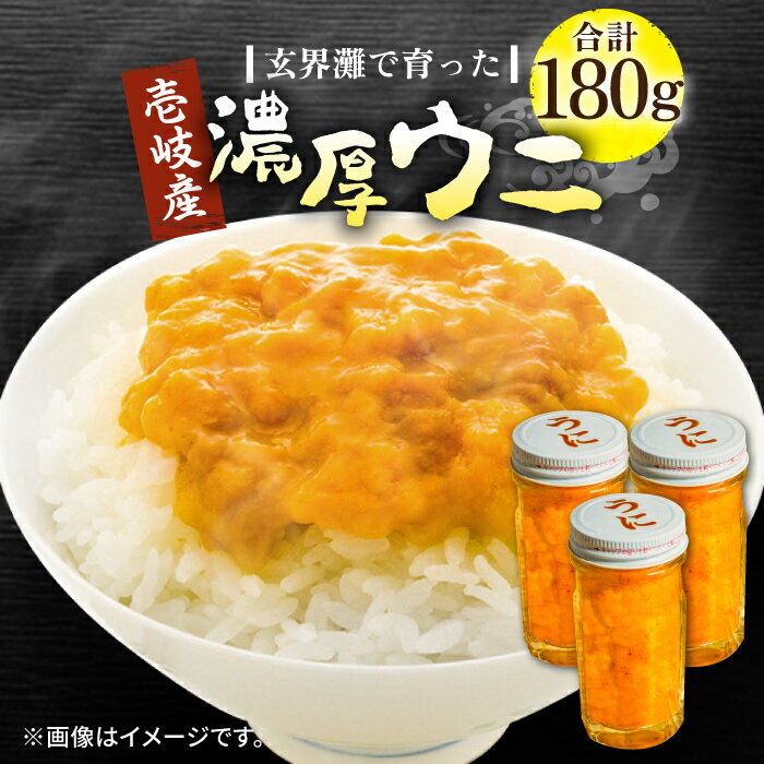 壱岐産 濃厚 ウニ 60g ×3本[壱岐市][合同会社塚元]ムラサキウニ 海産物 海鮮 うに 雲丹 珍味 [JDR023] 40000 40000円 4万円 のし プレゼント ギフト 冷凍配送