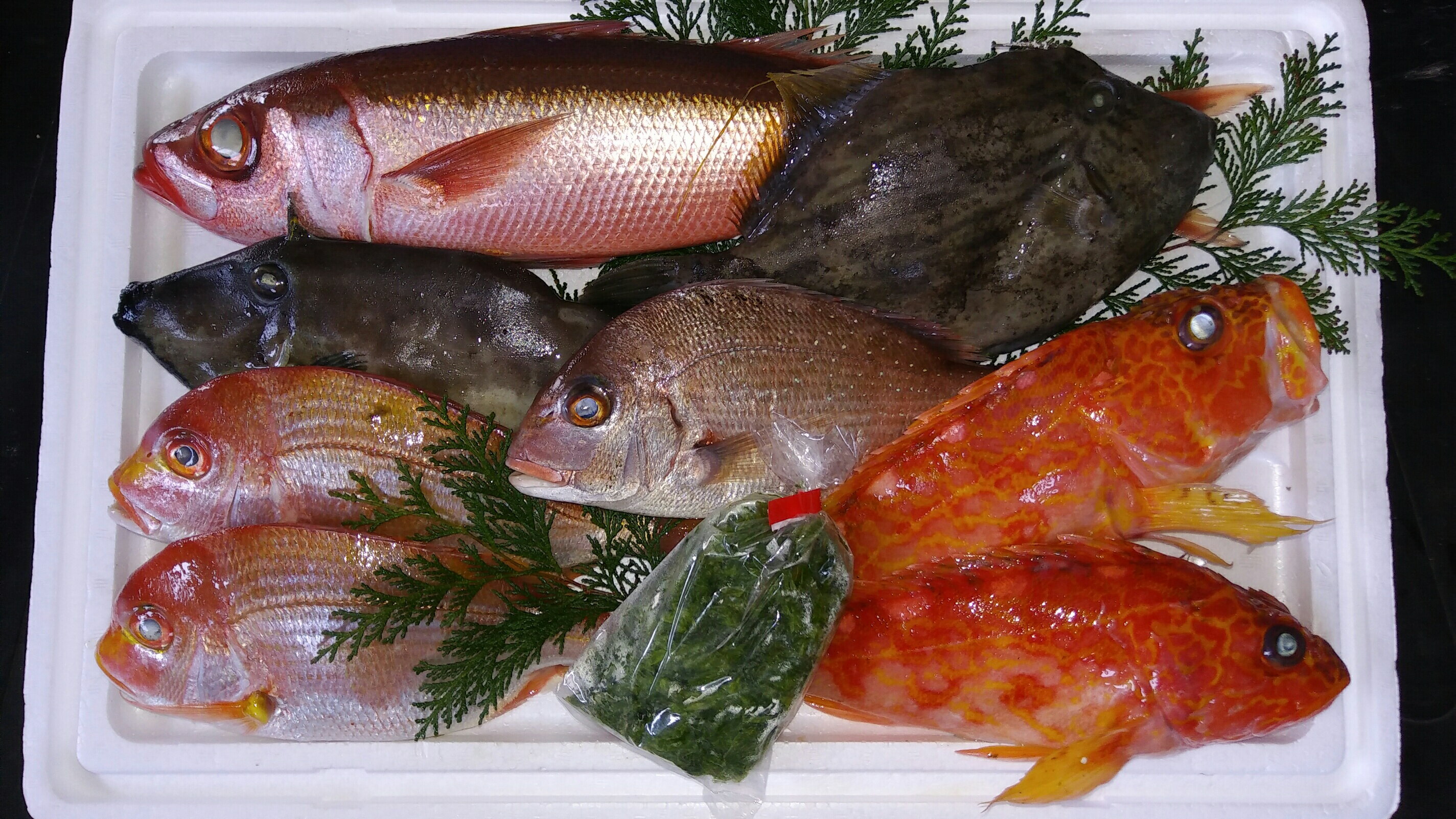 上質で快適 ふるさと納税 定期便 旬の地魚セット 楽天市場 Www Gestalt Cl 上質で快適 ふるさと納税 定期便 旬の地魚セット 楽天市場 Www Gestalt Cl