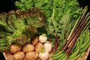 【ふるさと納税】【定期便】 旬野菜セット(五島列島産)四季折々