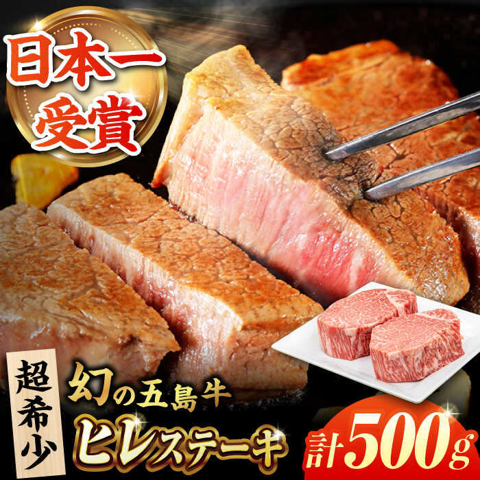 五島牛 ヒレ 250g×2枚 五島市/ごとう農業協同組合[PAF032] 冷凍 国産牛 牛肉 ブランド牛