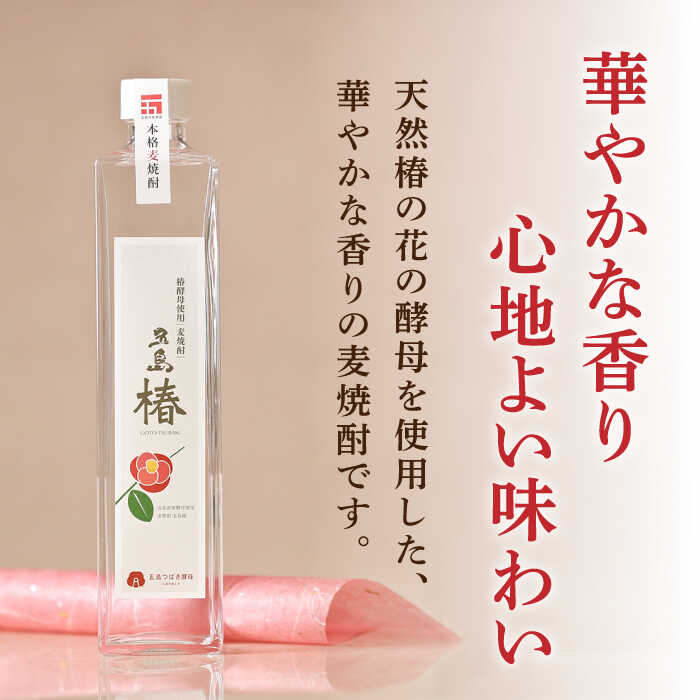 【ふるさと納税】【全6回定期便】長崎・五島列島酒造 麦焼酎 五島椿 500ml Alc.23% お酒 焼酎 五島市/五島列島酒造 [PAH021]