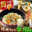 【ふるさと納税】【全3回定期便】椿鯖うどん (具だくさん五島うどん) 4人前 【大河内商店】 [PAQ009]