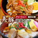 【ふるさと納税】美豚丼と焼美豚（島チャーシュー）のセット【大河内商店】 [PAQ020]