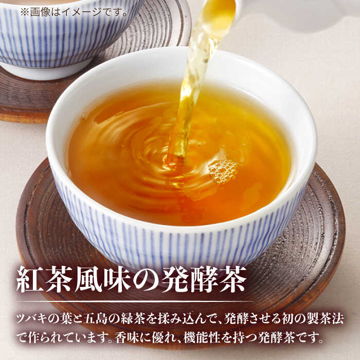 【ふるさと納税】7日程度発送）五島つばき茶リーフ 100g 常温 五島市 / グリーンティ五島 [PAV019]