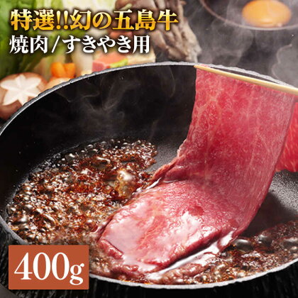 特選 五島牛 焼肉・すき焼き用肩ロース400g【ニク勝】[PBF003]