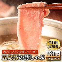 【ふるさと納税】【全6回定期便】五島豚 しゃぶしゃぶ 250g×2P【ニク勝】 [PBF022]