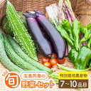 【ふるさと納税】旬の野菜セット（7-10品目10kg未満）野菜 やさい 詰め合わせ セット五島市/やぁしゃ便 [PBG003]