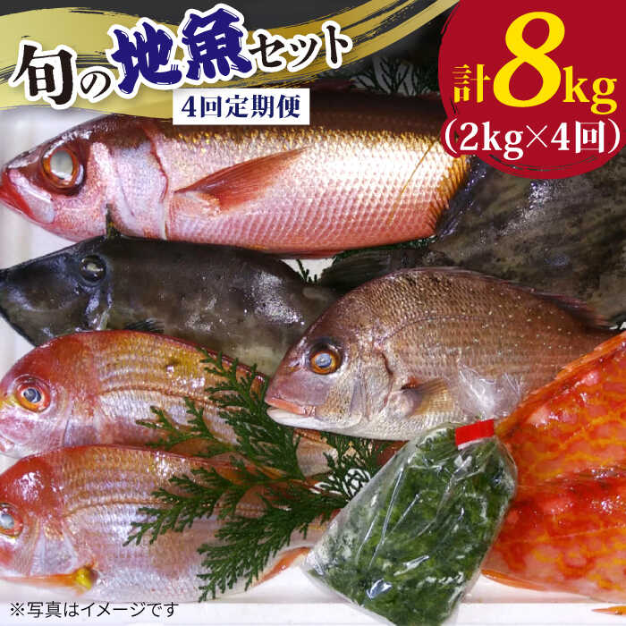 【ふるさと納税】【全4回定期便】旬の地魚セット（エラ・内臓処理済）鮮魚 魚介 刺身 五島市 / 五島FF [PBJ002]