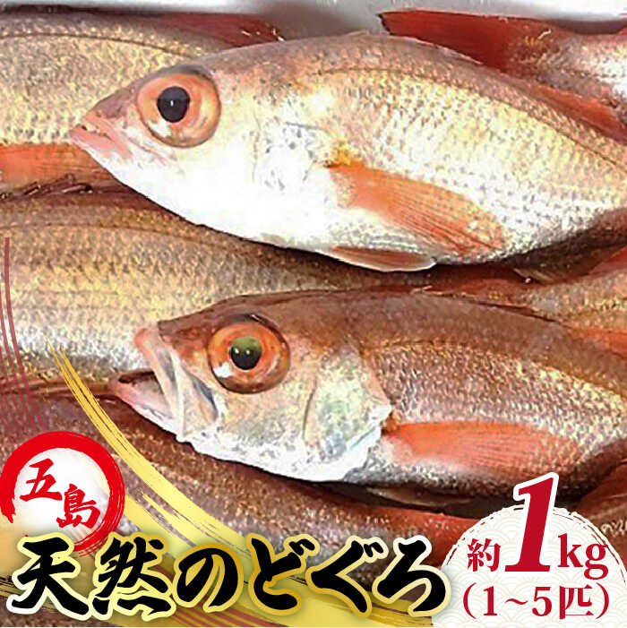 魚市場で水揚げされた後はほとんどが料亭や割烹店へ卸され、なかなかスーパー等ではお目にかかれない超高級魚。 刺身はもちろんのこと、王道の煮つけ、シンプルに塩焼き、ぶつ切りにしてお鍋など、どのような食べ方でも美味です。 漁獲後に〆て新鮮な状態でお届けできるようにしております。到着後は、すぐに食べるとよりおいしくいただけます！ ※ 翌々日以内に届くエリア限定です。 商品説明 名称天然のどくろ（エラ・内臓処理済） 内容量約1kg（1〜5匹）（下処理前の重量） 消費期限 発送より5日 ※ 発送より2日以内はお刺身で召し上がれます。 ※ 生鮮食品のため到着後はすぐにお召し上がりください。 アレルギー表示特定原材料7品目および特定原材料に準ずる21品目は使用していません 配送方法冷蔵 配送期日1ヶ月以内 ※ 天然物のため天候・釣果により希望に添えない場合があります。 提供事業者五島FF株式会社 #/海産物/鮮魚/