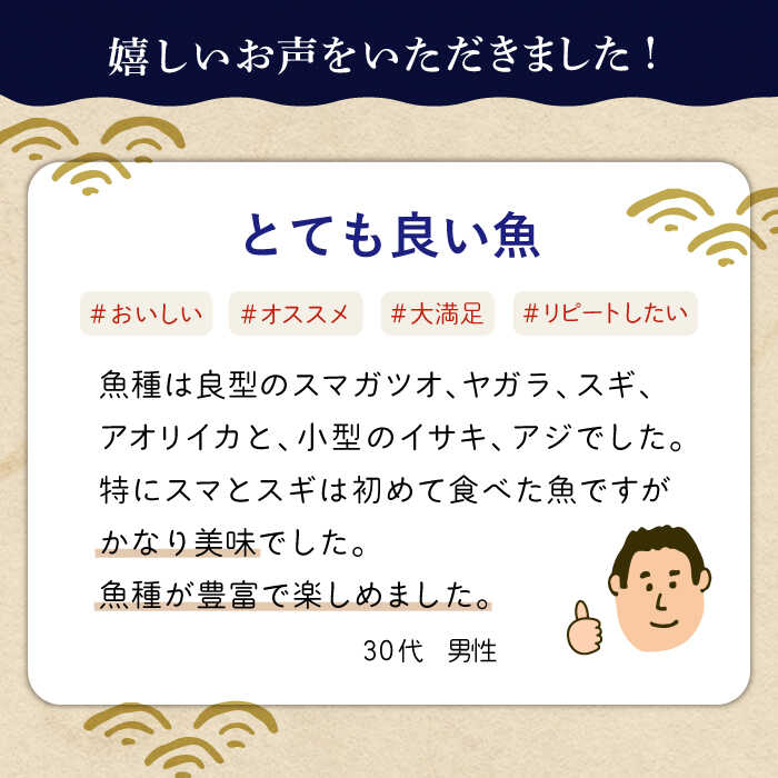 【ふるさと納税】贅沢鮮魚セット（エラ・内臓処理済）鮮魚 魚介 刺身 五島市 / 五島FF [PBJ006]