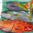 【ふるさと納税】贅沢鮮魚セット（