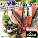 【ふるさと納税】旬の地魚セット（エラ・内臓処理済）鮮魚 魚介 刺身 五島市 / 五島FF [PBJ010]