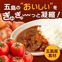 【ふるさと納税】【全12回定期便】五島牛 こだわりの五島ハヤシ 220g×10箱 セット レトルト 常温 五島市 / 出口さんご [PBK021] 2