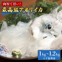 【ふるさと納税】五島産 アオリイカ 1～1.2kg 五島市/...