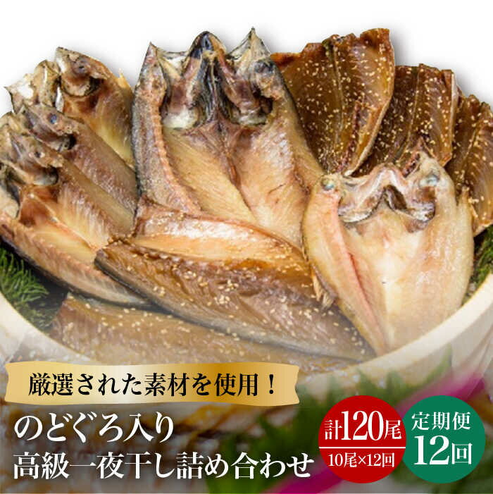 【ふるさと納税】【全12回定期便】のどぐろ・真アジ・真サバの一夜干し 1.1kg 10枚 干物 高級魚 愛情...