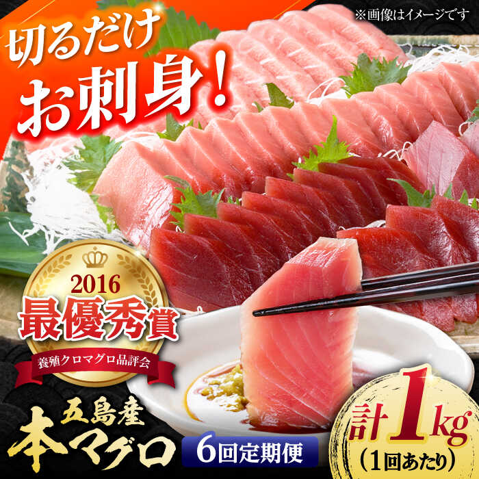 【ふるさと納税】【全6回定期便】本マグロ (養殖) ブロック 詰合せ 計6kg (1kg×6回) 刺身【奥浦海鮮直...