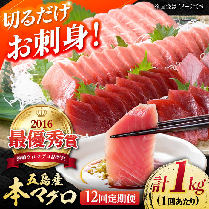 【ふるさと納税】【全12回定期便】本マグロ (養殖) ブロック 詰合せ 計12kg (1kg×12回) 刺身【奥浦海鮮直売所】 [PCL011]