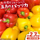 五島のパプリカ 計18個 野菜 サラダ 野菜炒め 【HPIファーム】[PCP003]